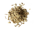 Echinacea angustifolia Root Organic