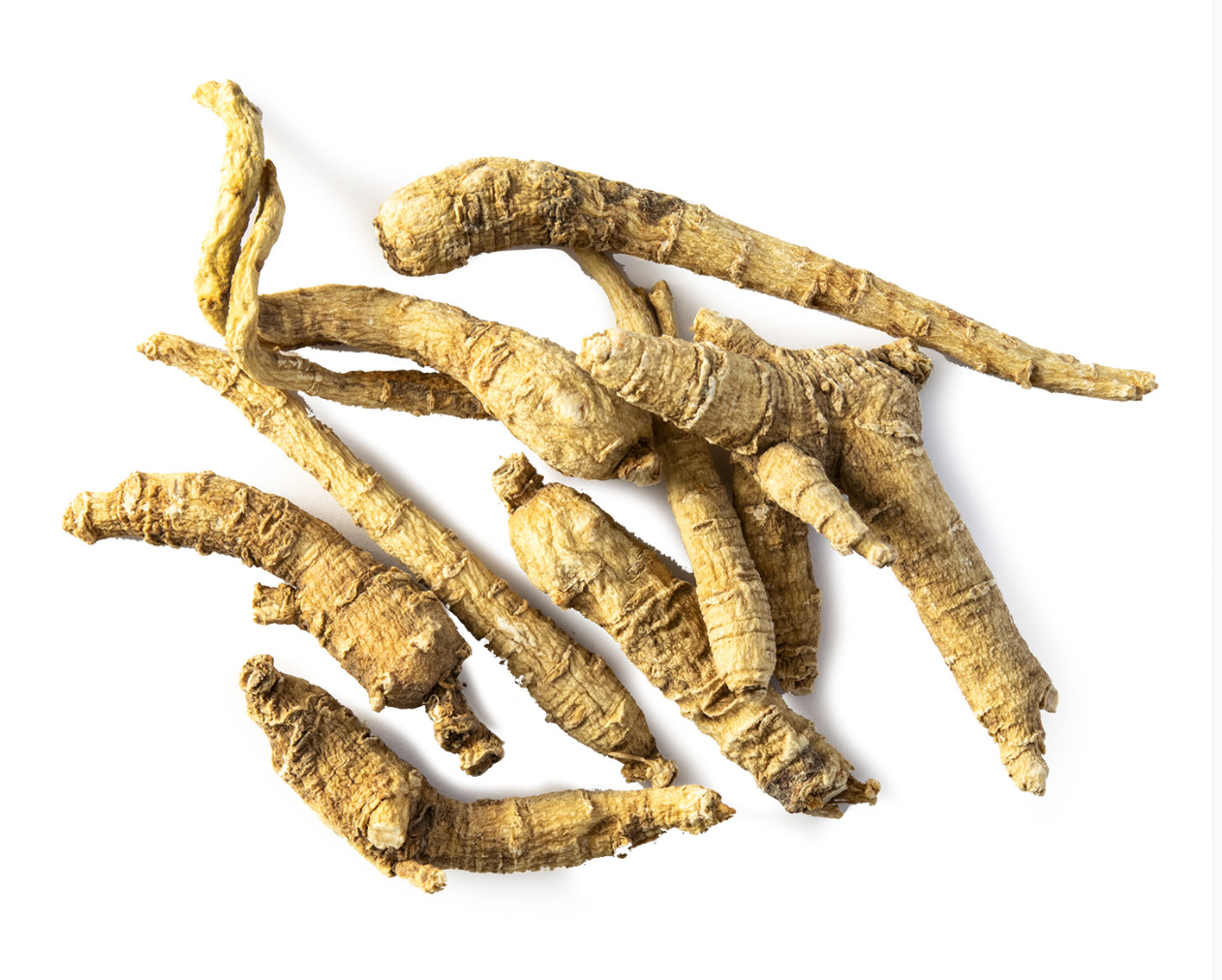 Ginseng Root Whole, American Organic