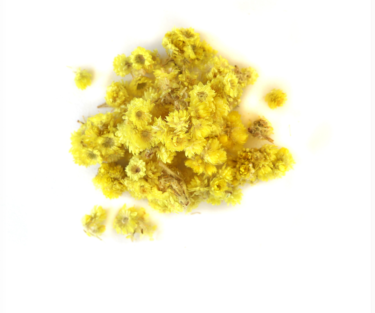 Helichrysum Flowers Organic